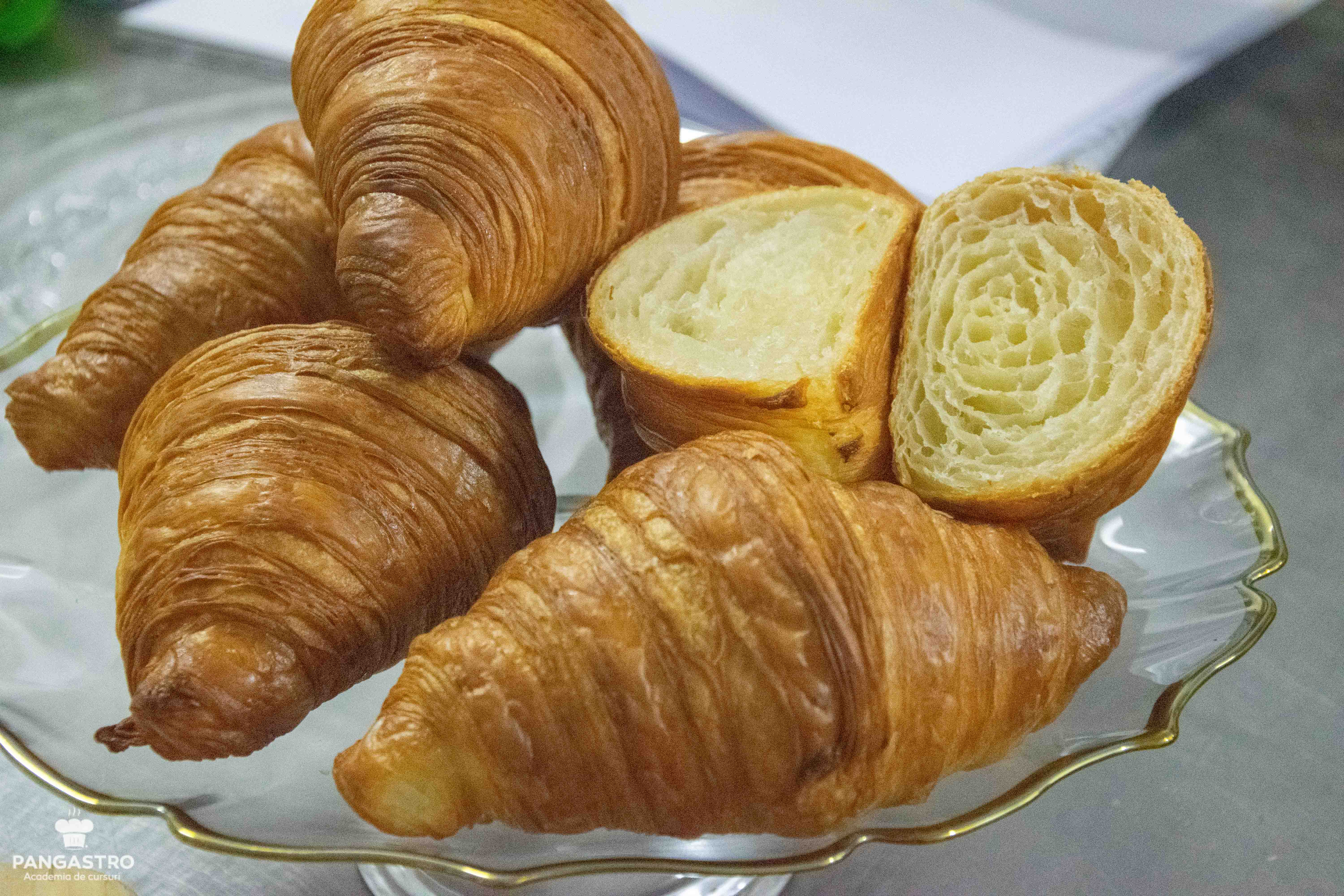 Curs de torturi consacrate, 6-7 mai 2019 